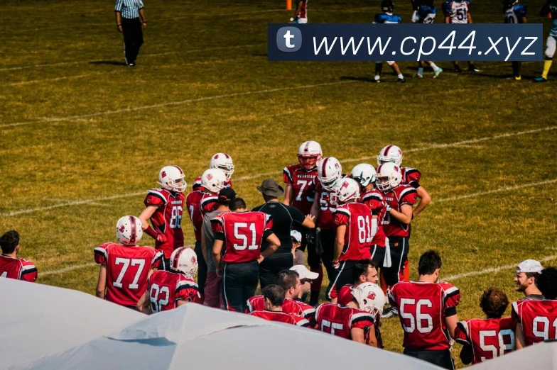 多终端兼容